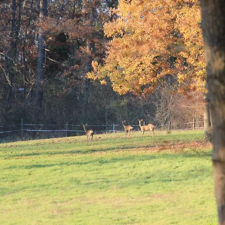 Le Manoir Du Cerf Gaillon